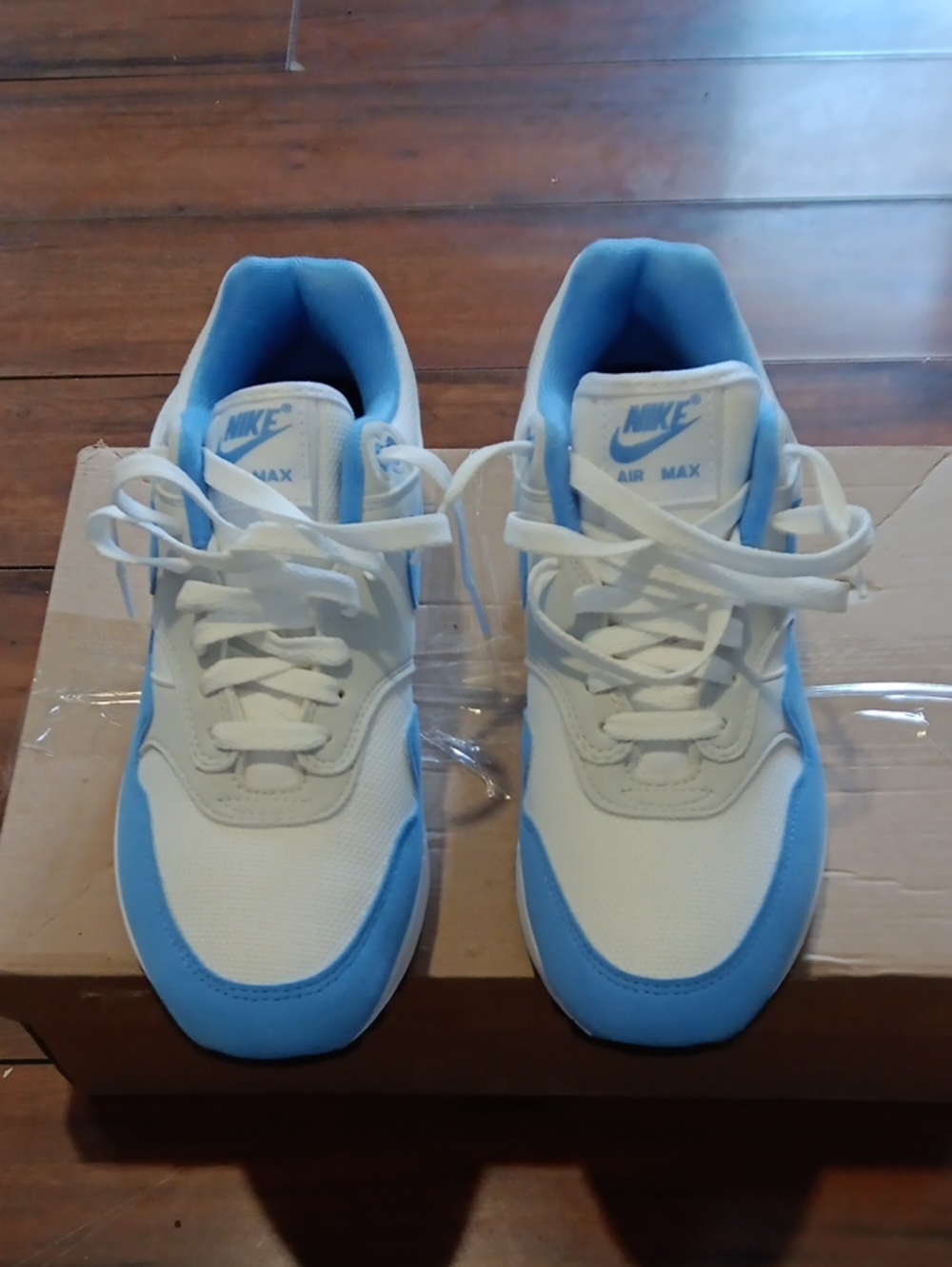 UNIVERSITY BLUE NIKE AIR MAX 1